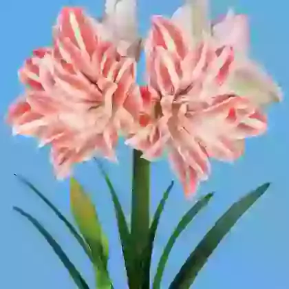 Dancing Queen
